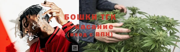 ПСИЛОЦИБИНОВЫЕ ГРИБЫ Верхний Тагил